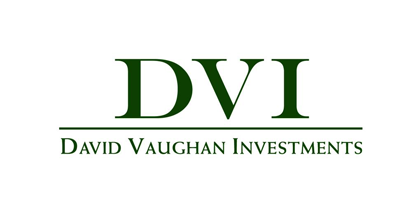 DVI logo