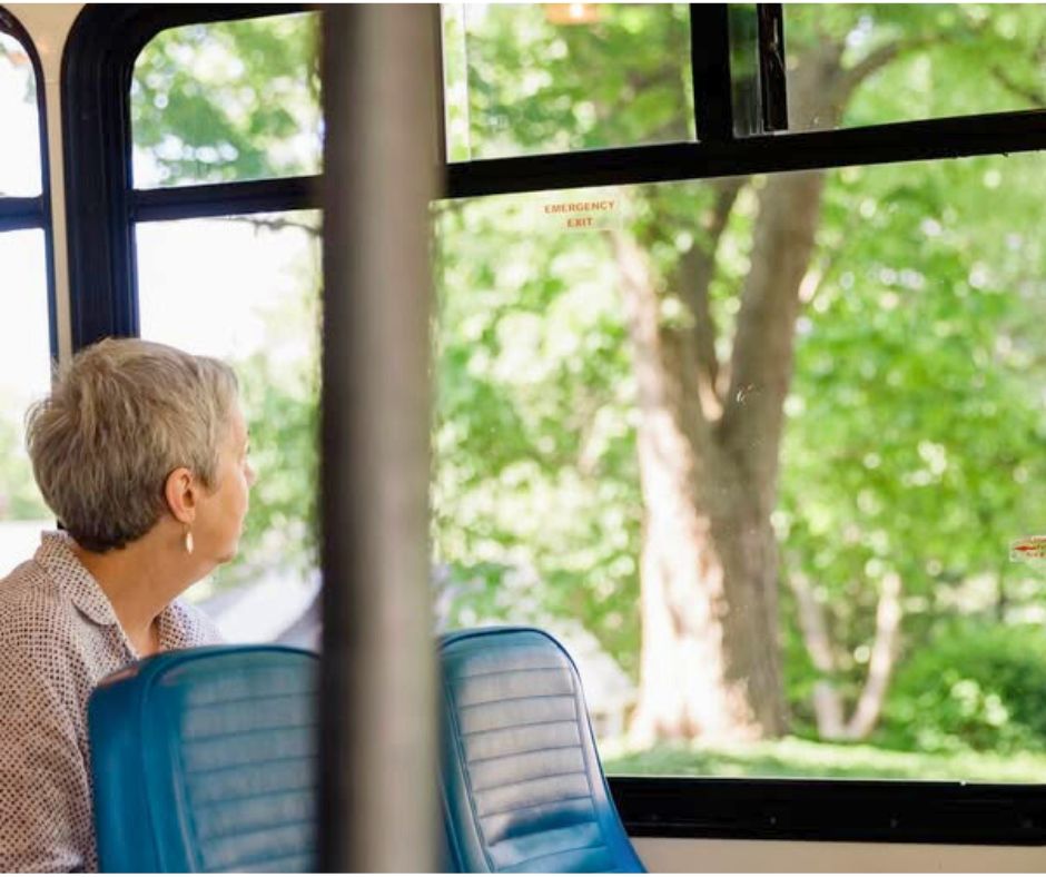 bus tour_2